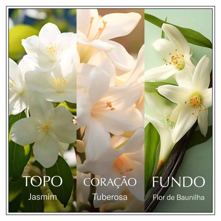 Perfume-Chanson-D'eau-Jasmine-Feminino-Eau-de-Toilette-100ml--3